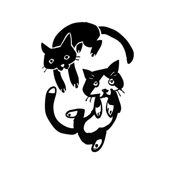 てすと
